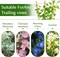12-Pack 16-Inch Bamboo Plant Trellis – Natural Wood Support Stakes with 50 Ties for Indoor Potted Climbing Plants, Vines & Flowers